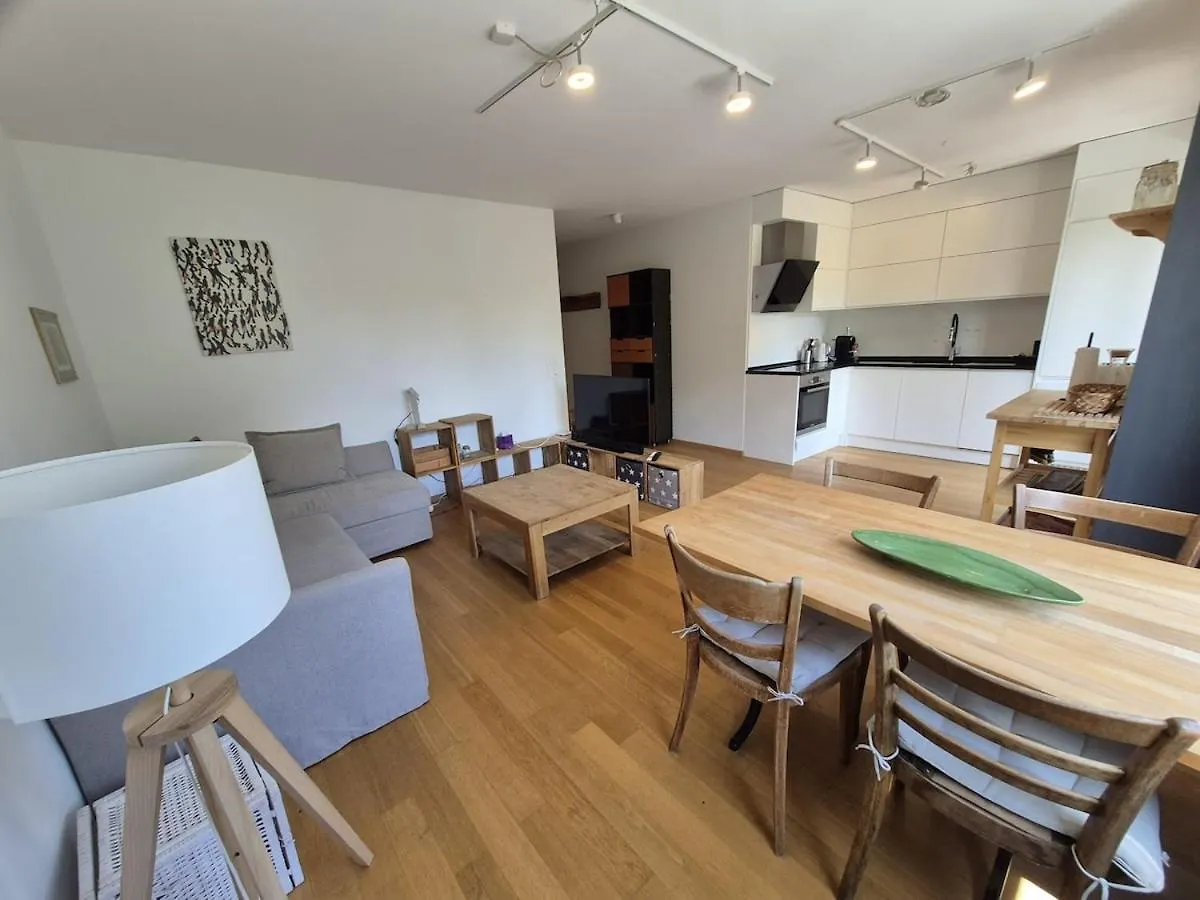 Baseliving Apartment 5 - 2 Grosse Balkone - Bahnhof Sbb